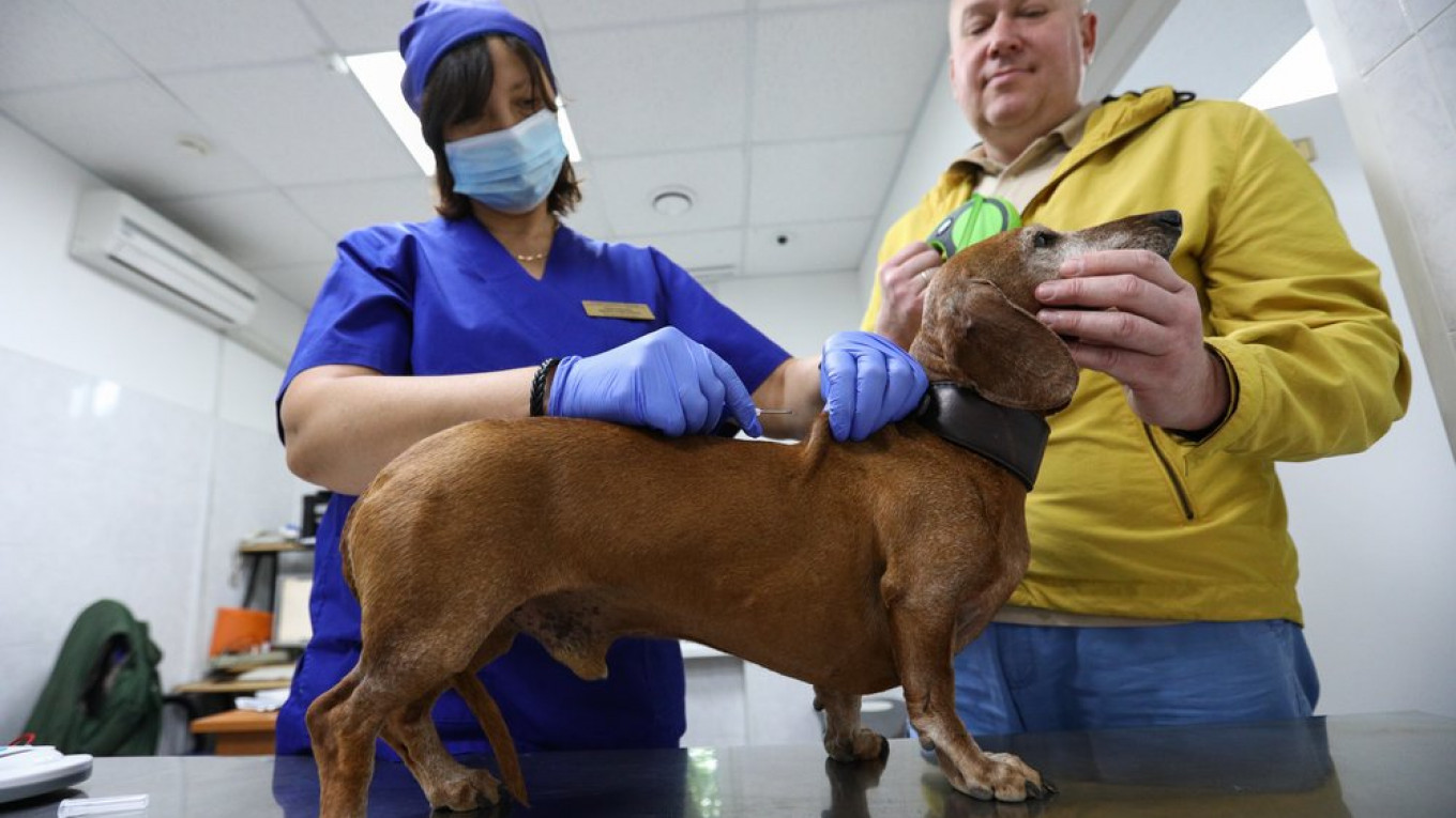 Russian Made Carnivac-Cov Vaccine for Pets